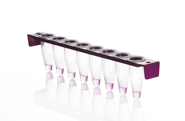 FrameStrip®8連排PCR反應管